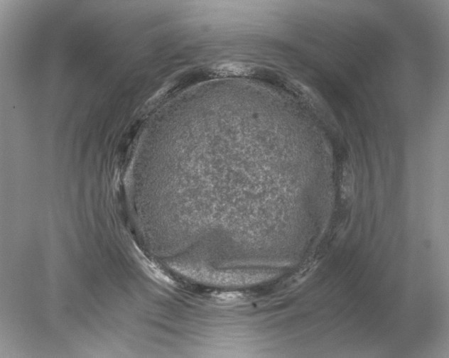 X0000078280409200611172101