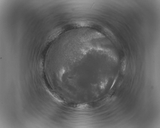 X0000078280410200611172101