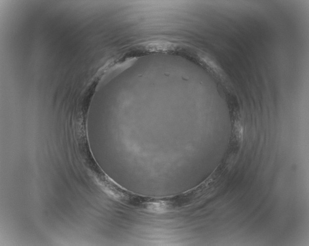 X0000078280411200611172101