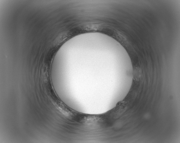 X0000078280414200611172101