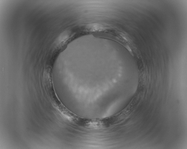 X0000078280415200611172101