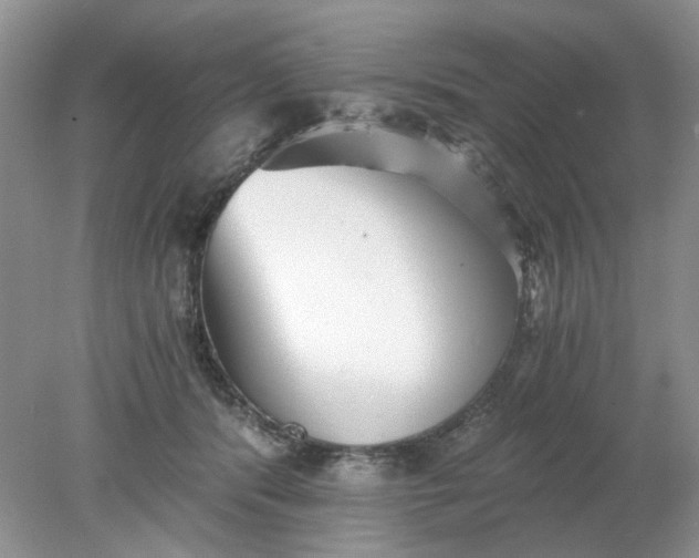 X0000078280416200611172101