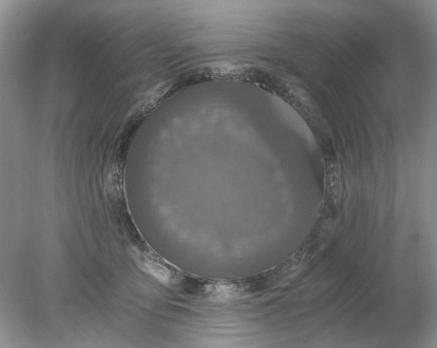 X0000078280419200611172101