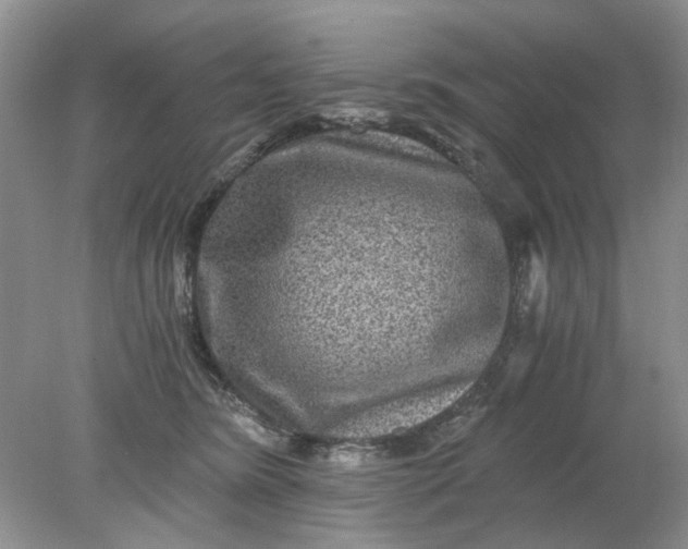 X0000078280420200611172101