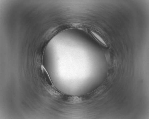 X0000078280421200611172101