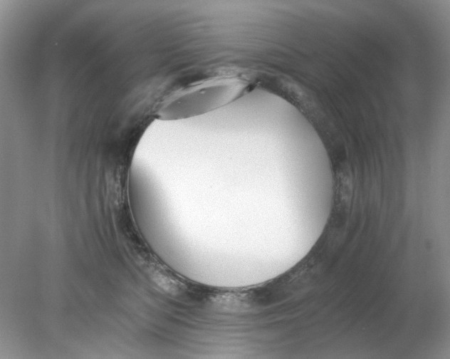 X0000078280422200611172101