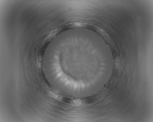 X0000078280423200611172101