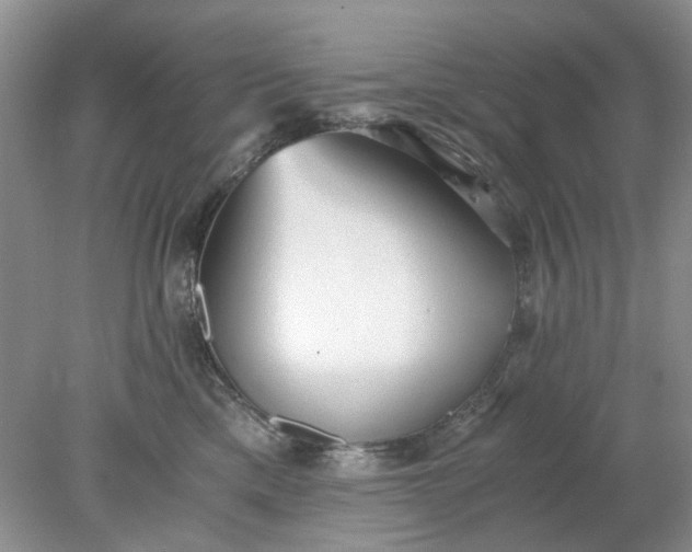 X0000078280425200611172101