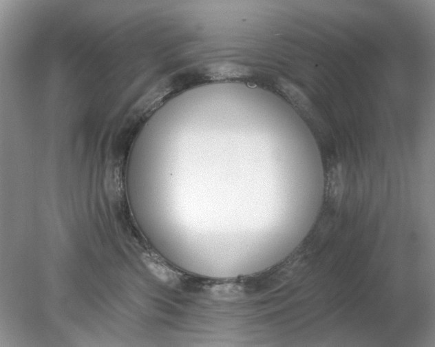 X0000078280426200611172101