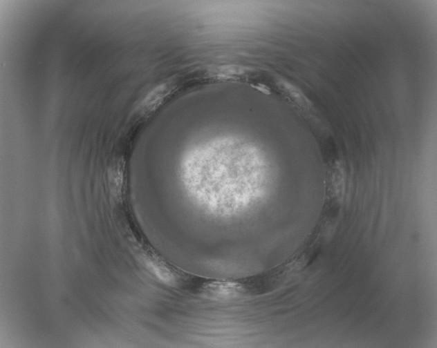 X0000078280427200611172101