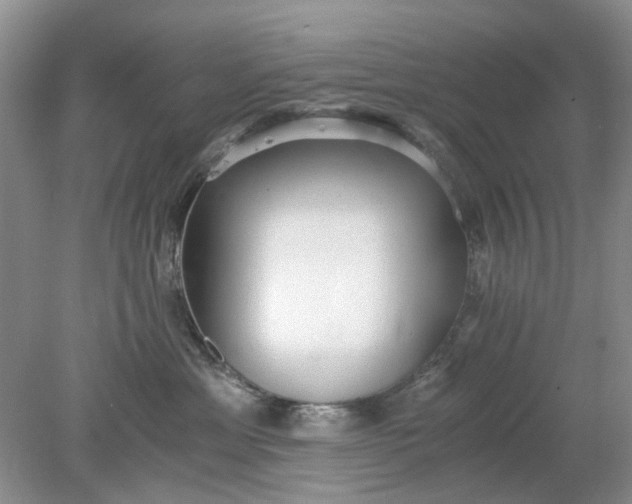 X0000078280429200611172101