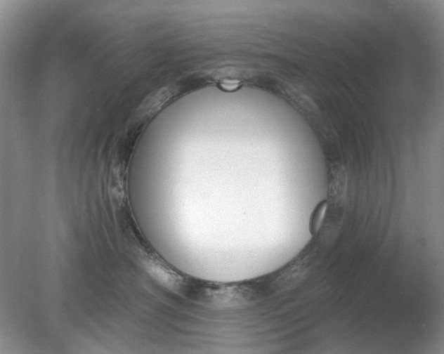 X0000078280430200611172101