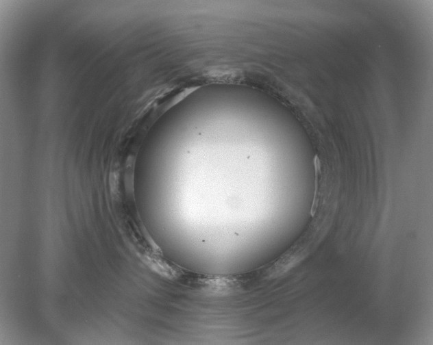 X0000078280432200611172101