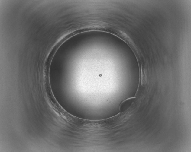 X0000078280435200611172100