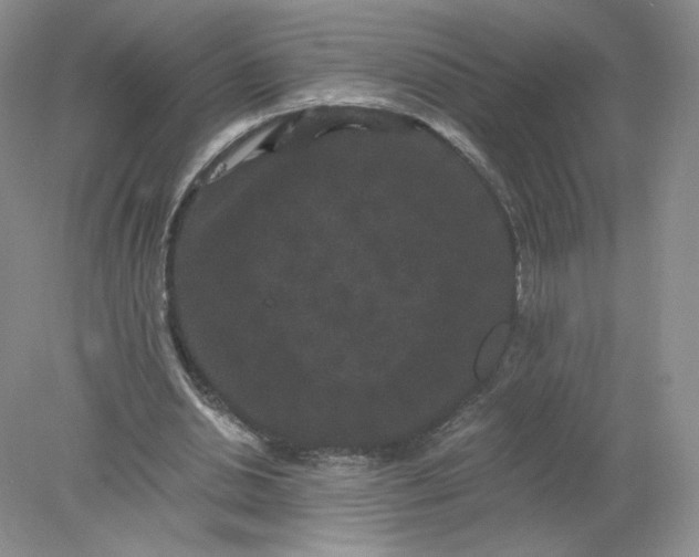 X0000078280438200611172100