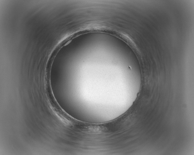 X0000078280439200611172100