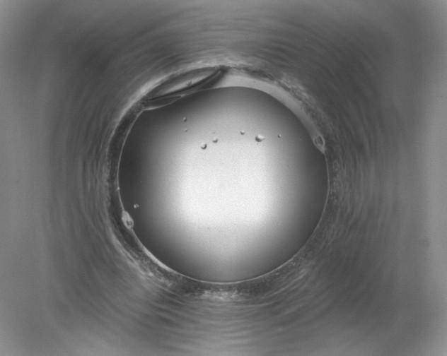 X0000078280440200611172100