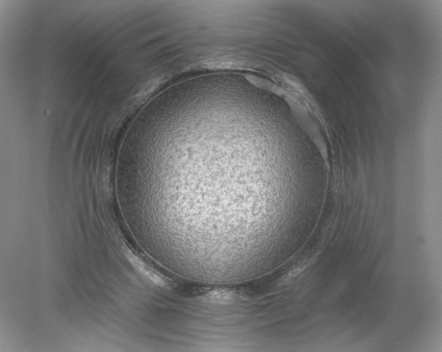 X0000078280441200611172100