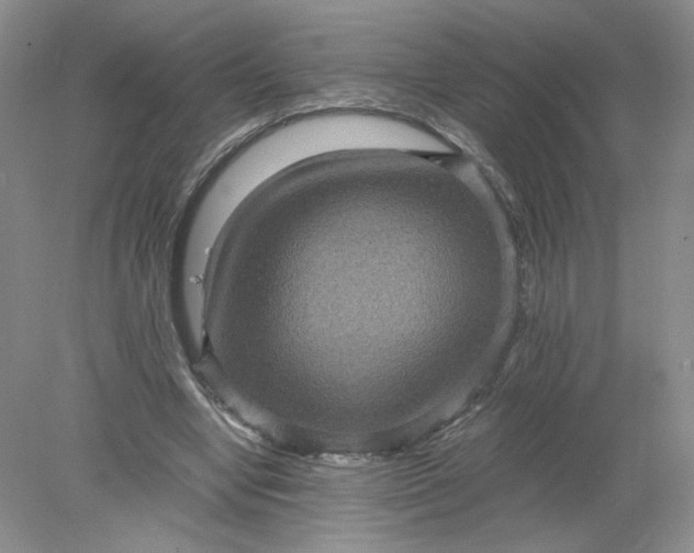 X0000078280442200611172100