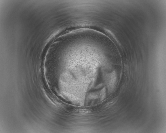 X0000078280443200611172100