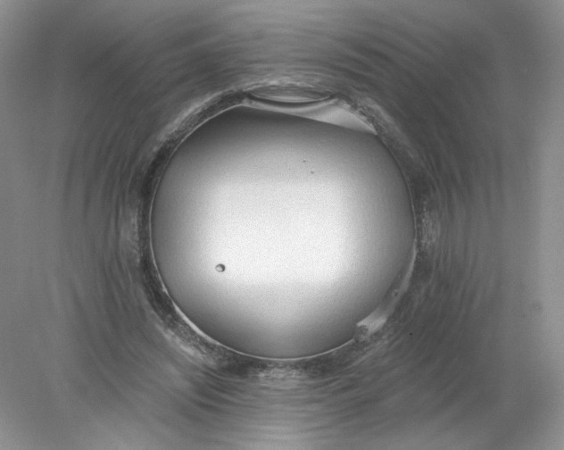 X0000078280444200611172100