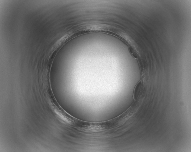 X0000078280445200611172100