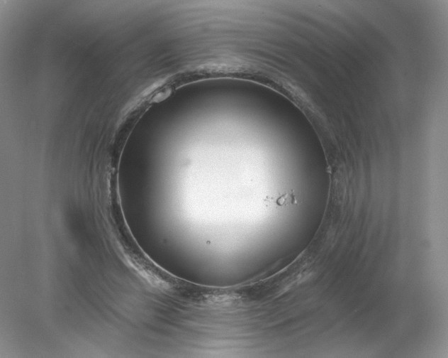 X0000078280446200611172100