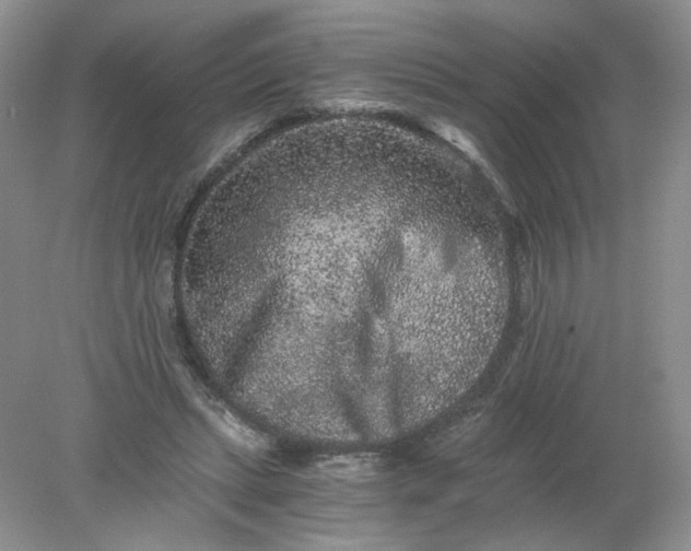 X0000078280447200611172100