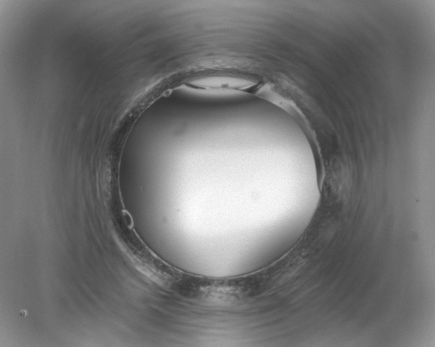 X0000078280448200611172100