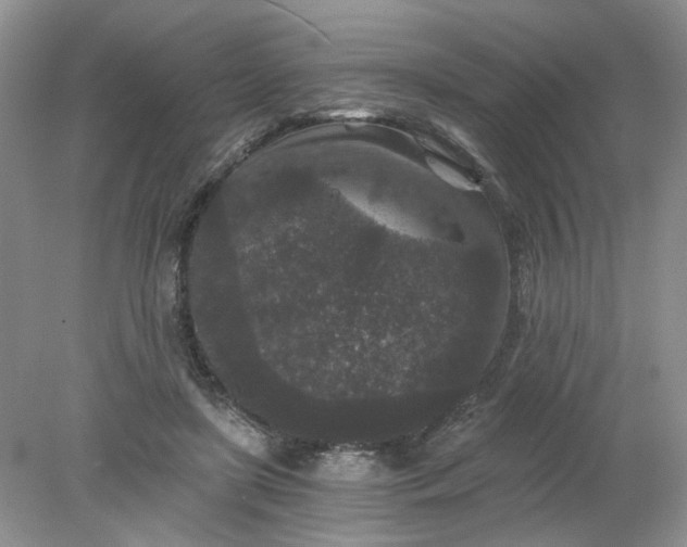 X0000078280451200611172101