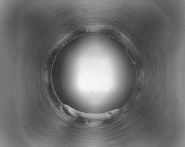 X0000078280452200611172101