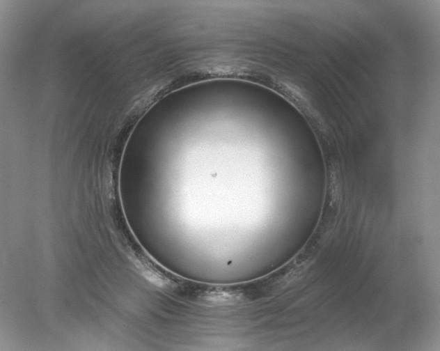 X0000078280453200611172101