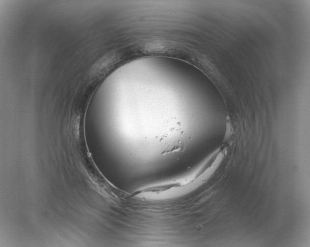 X0000078280454200611172101