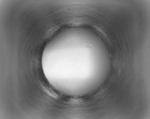 X0000078280455200611172101