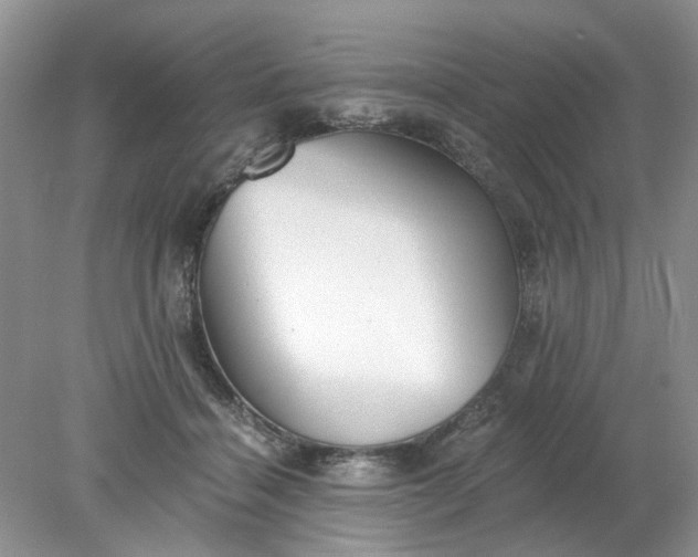 X0000078280460200611172101