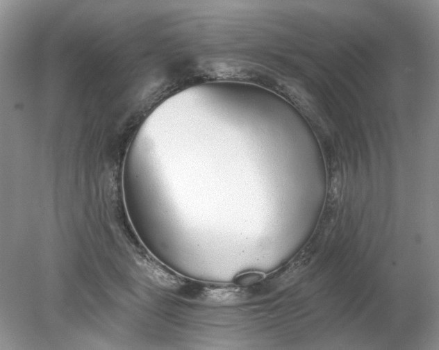 X0000078280461200611172101