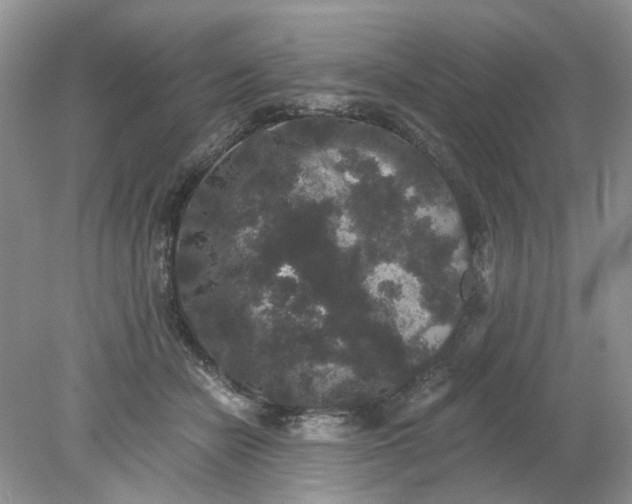 X0000078280462200611172101