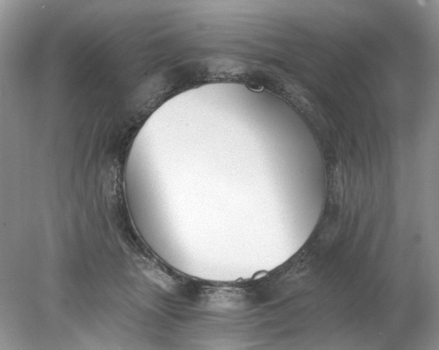 X0000078280463200611172101