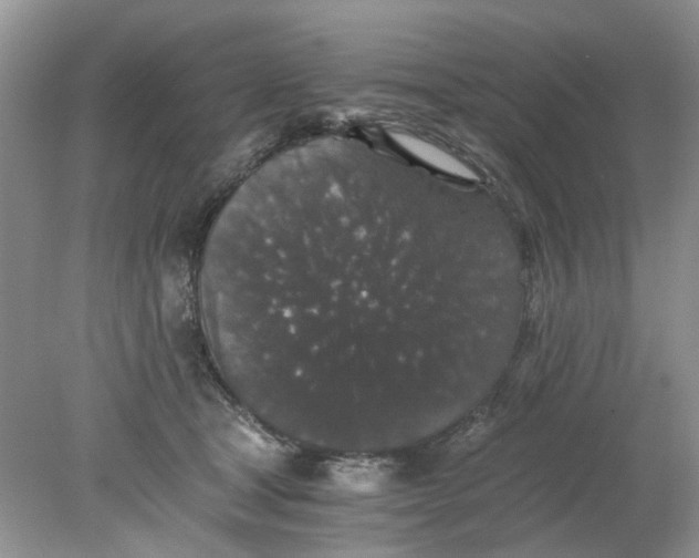 X0000078280465200611172101