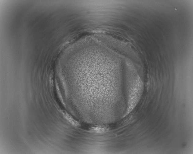 X0000078280466200611172101