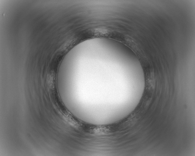 X0000078280468200611172101