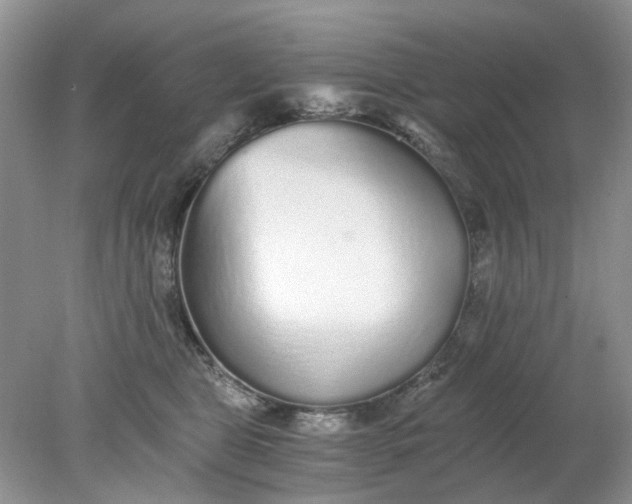 X0000078280469200611172101