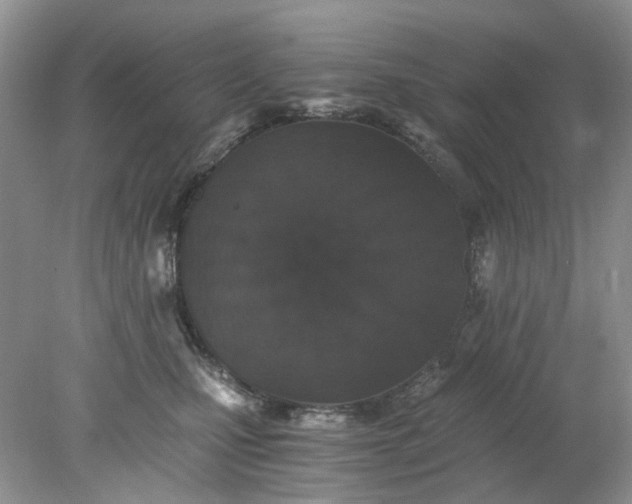 X0000078280471200611172101