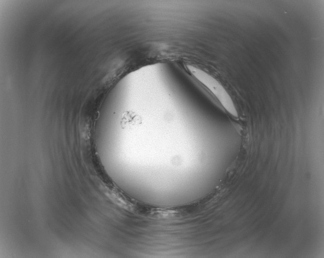 X0000078280472200611172101