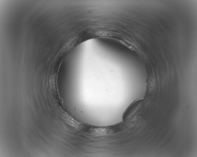 X0000078280473200611172101