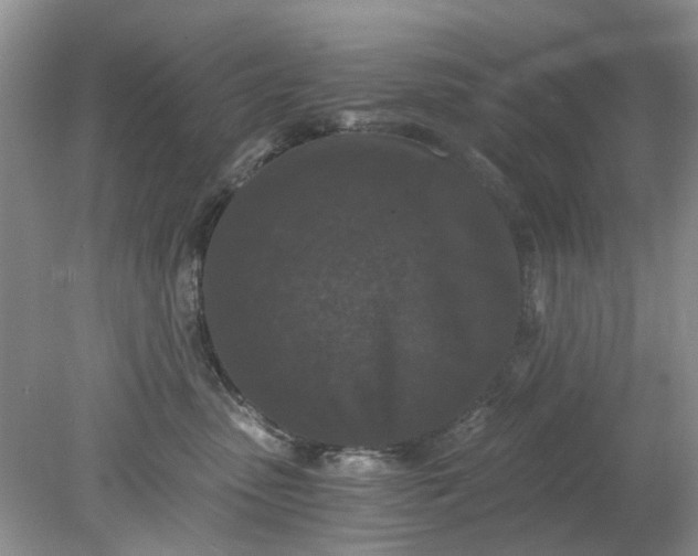 X0000078280475200611172101