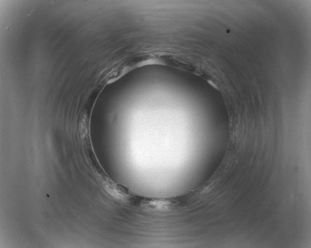 X0000078280478200611172101