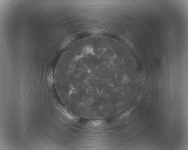 X0000078280479200611172101