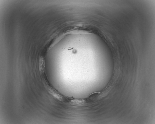 X0000078280480200611172101