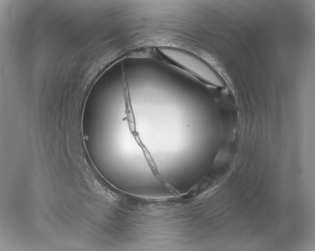 X0000078280481200611172100